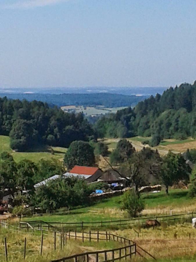 Fewo Am Neckarsteig Neckarsteinach Eksteriør billede
