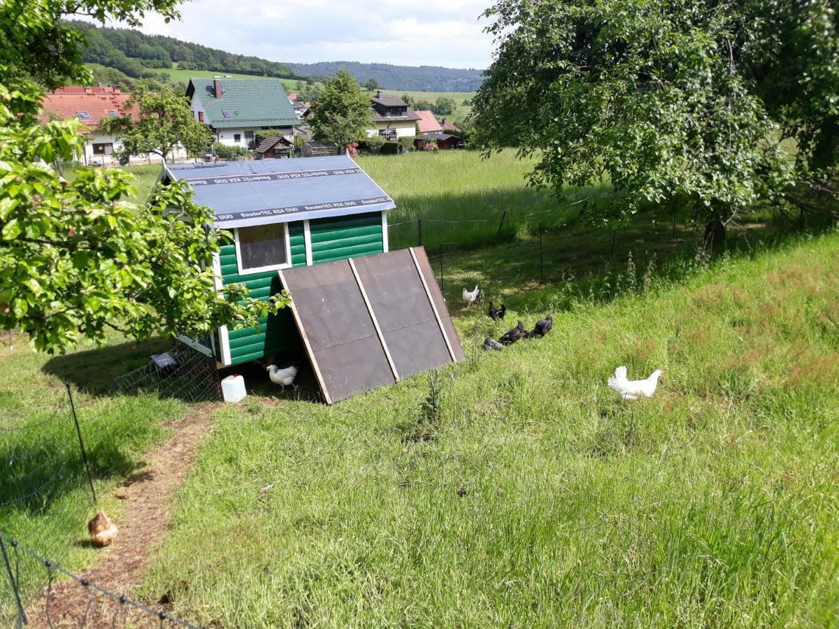 Fewo Am Neckarsteig Neckarsteinach Eksteriør billede